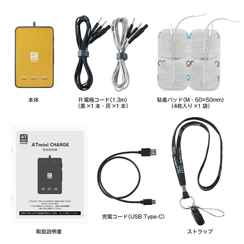 カ*ミ様 AT−miniⅠ Personal 伊藤超短波　ほぼ新品・美品 AT-mini Personal I本体セット伊藤超短波 ITO ポータブル マイクロ