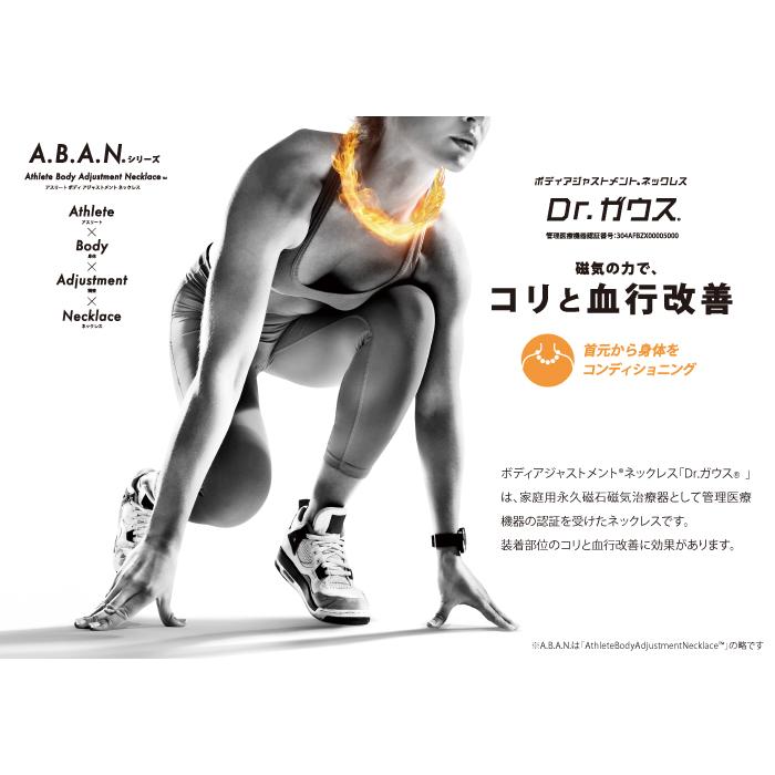 Dr.ガウス正規品 ボディアジャストメント ネックレス 男女兼用 磁気ネックレス ゴールド(K10)使用 「ミディアムグレード Sサイズ(約45cm)」