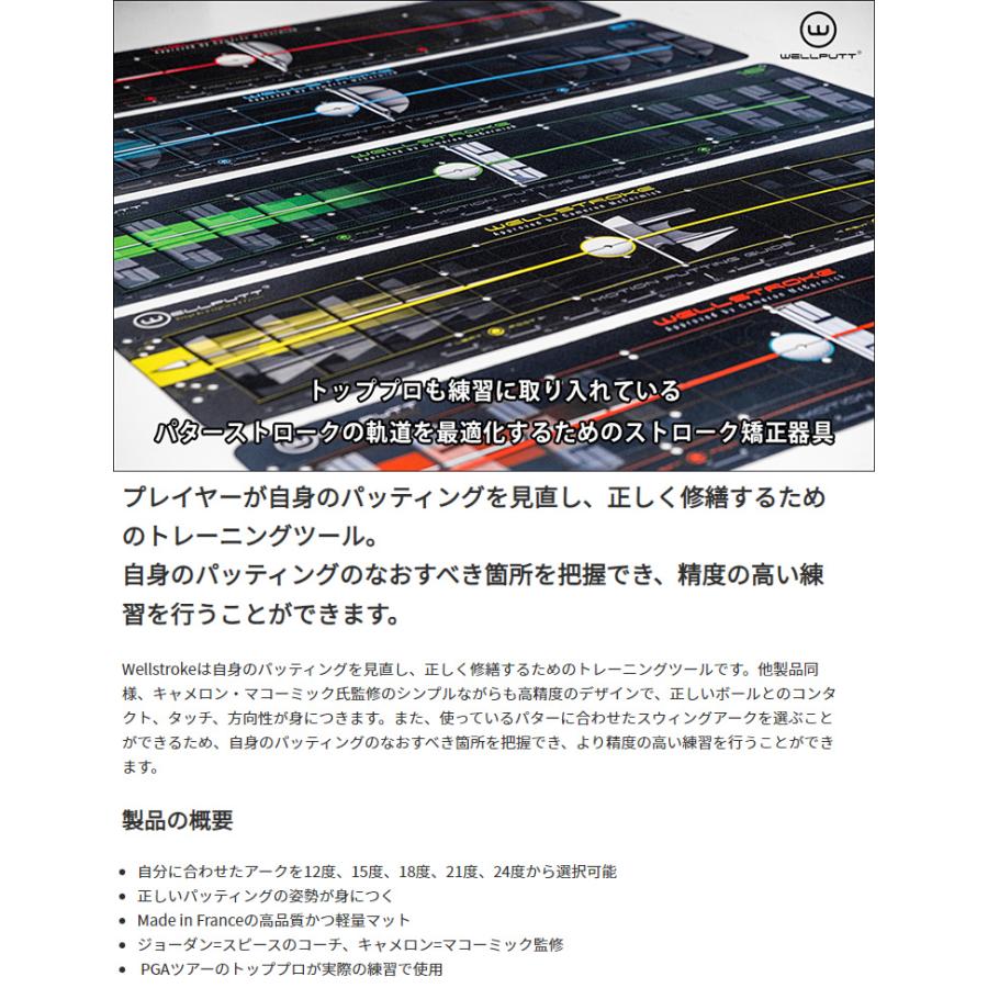 TEKWIND テックウインド日本正規品 Wellstroke Arc パター