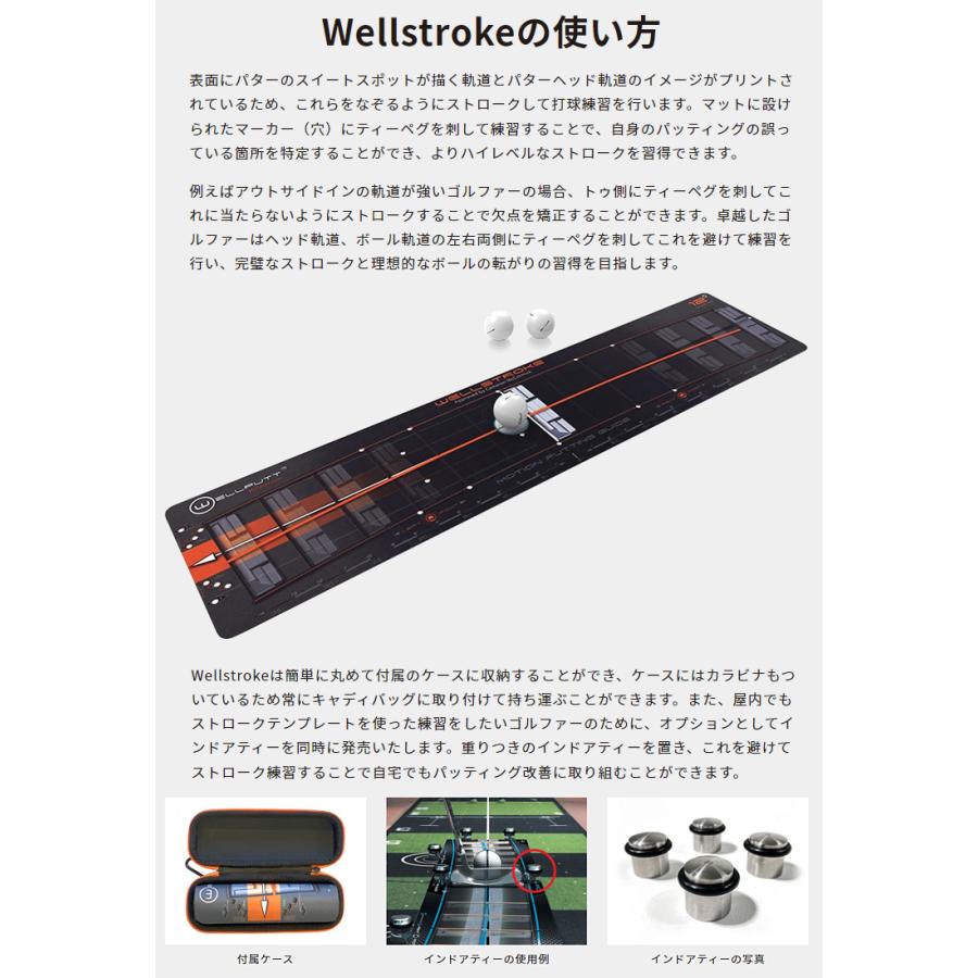 TEKWIND テックウインド日本正規品 Wellstroke Arc パターストローク