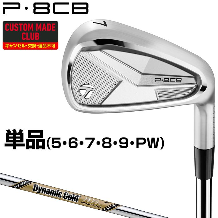 TaylorMade（テーラーメイド） P8CBアイアン ダイナミックゴールドEX