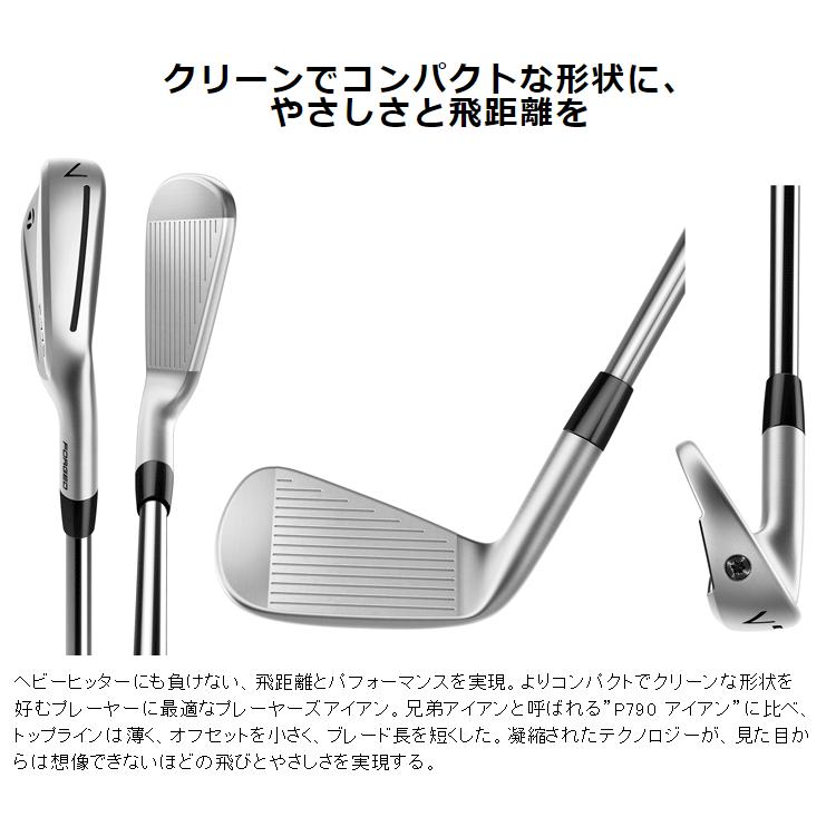 TaylorMade（テーラーメイド） 日本正規品 P770 アイアン New Diamana