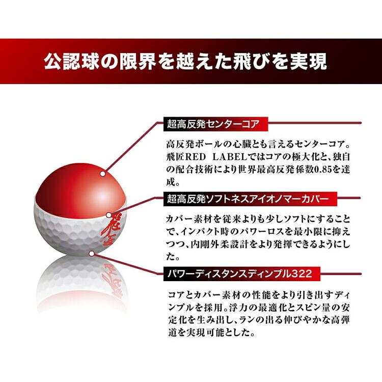 ワークスゴルフ 飛匠（ひしょう） レッドラベル・極 高反発ゴルフ