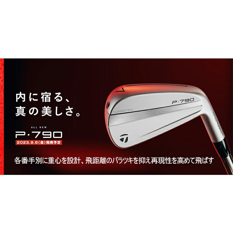 TaylorMade（テーラーメイド） NEW P790（'23） 軟鉄 単品アイアン