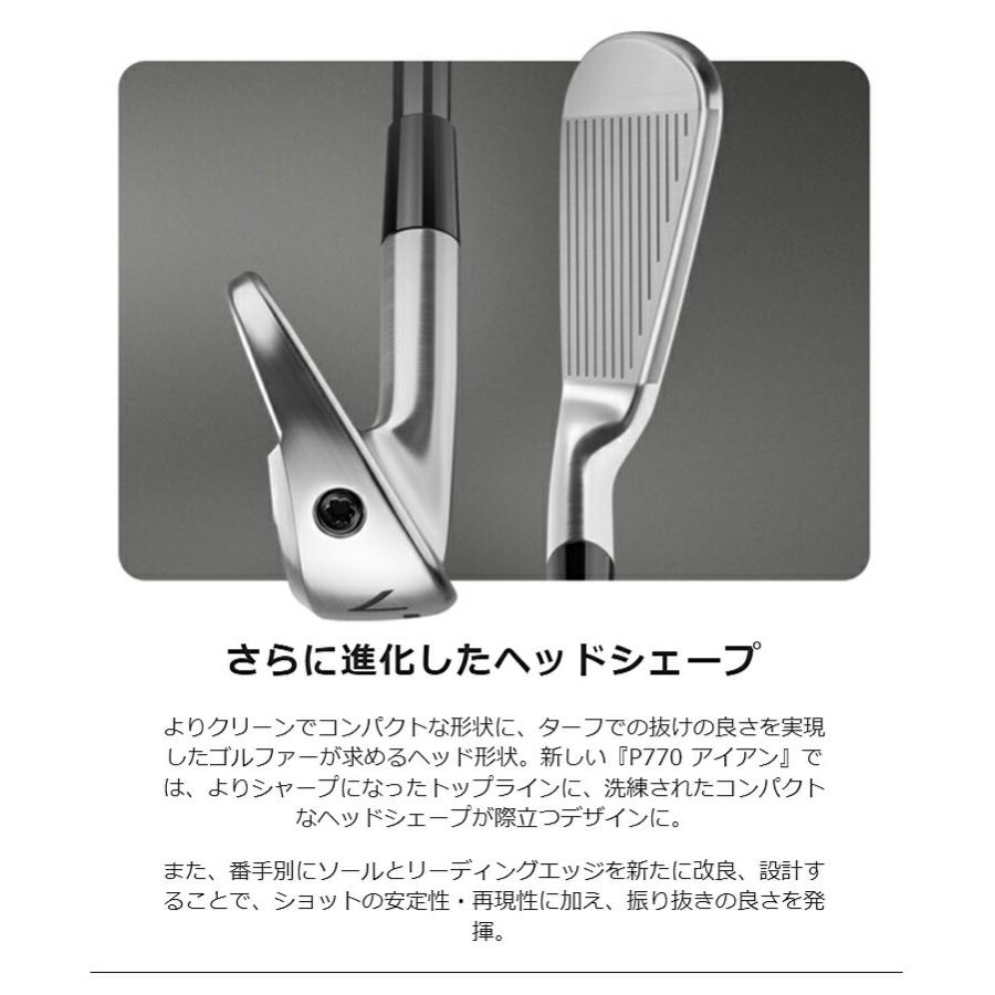 TaylorMade（テーラーメイド） ALL NEW P770 単品アイアン Dynamic