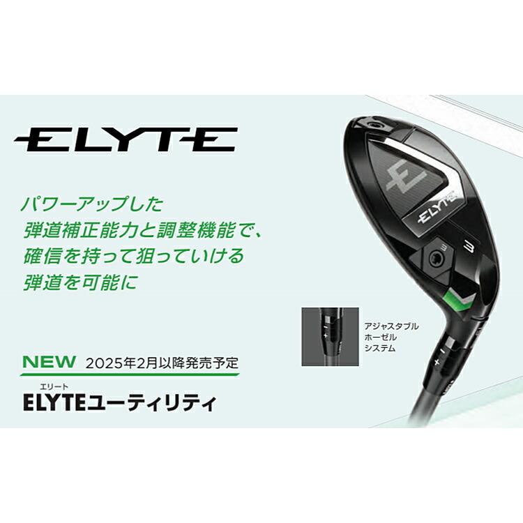 Callaway（キャロウェイ） ゴルフ エリート ユーティリティ N.S. PRO