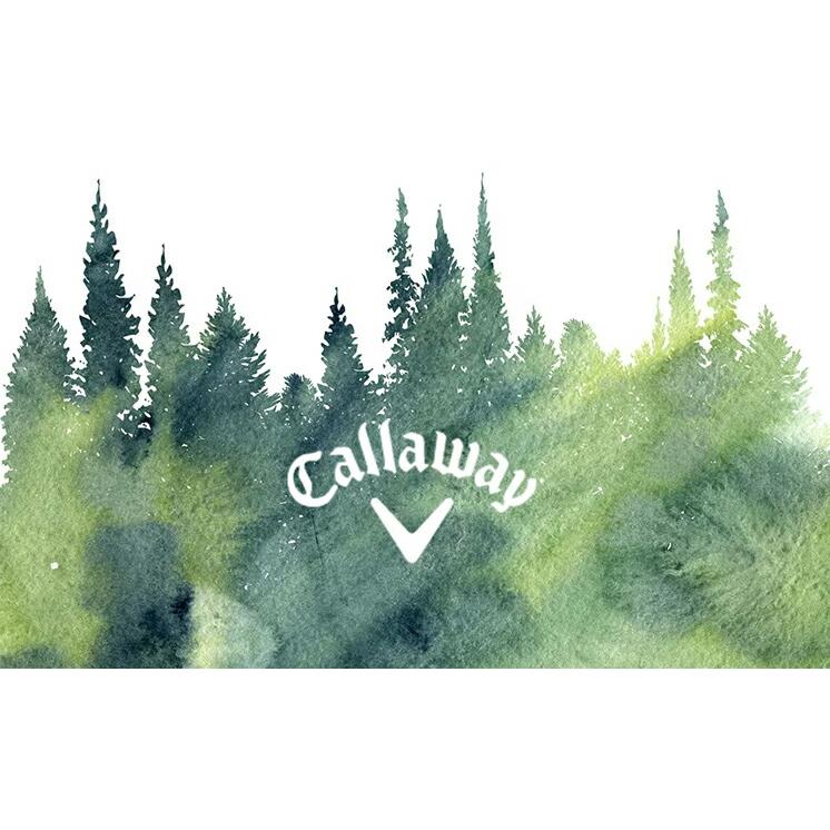 キャロウェイ ゴルフ ツアースタンド 25 JAM  ゴルフ  「Callaway Golf 5125134」 2025年秋冬モデル日本正規品 Callaway（キャロウェイ） ゴルフ ツアースタンド 25 JAM ゴルフ