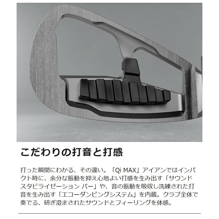 TaylorMade（テーラーメイド） キュー アイ マックス ライト 単品