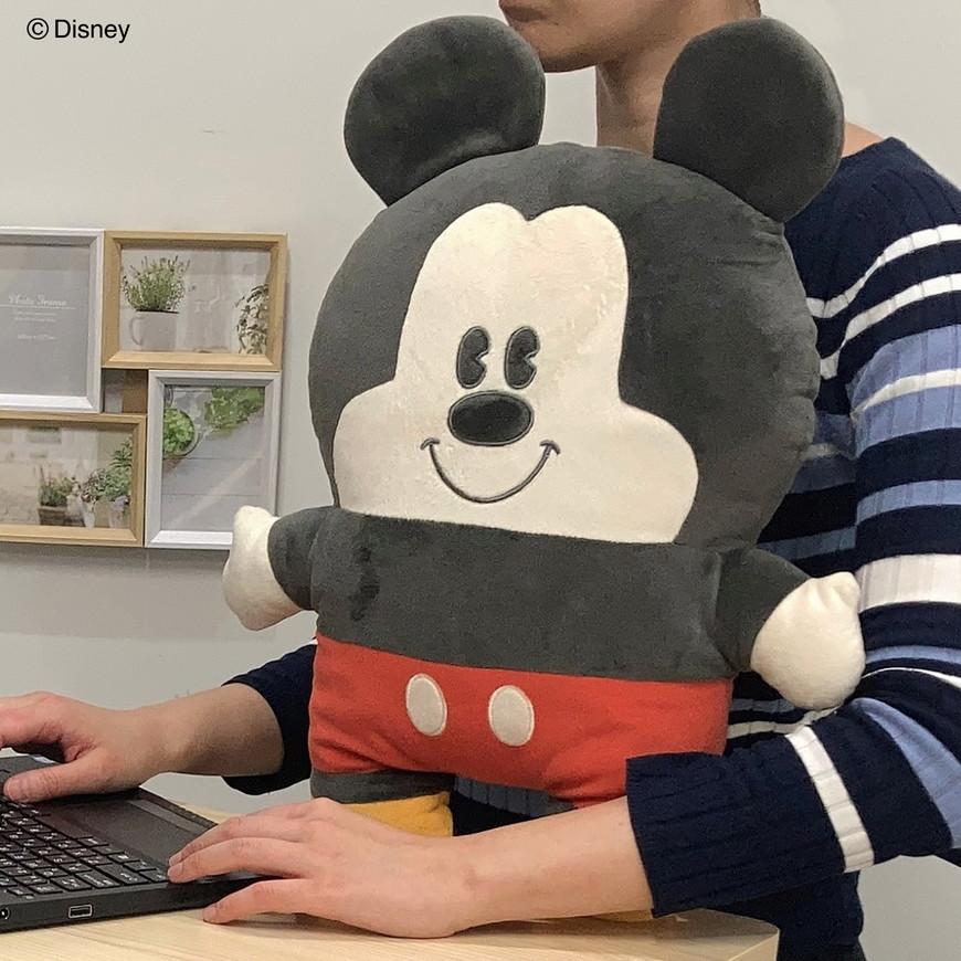 ディズニー ふらぴろ ミッキー プーさん ベイマックス リトルグリーン