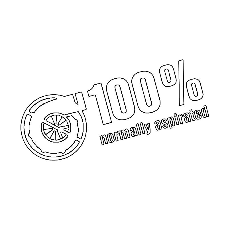 Na車 かわいい 文字ステッカー ホワイト 100 Normally Aspirated 自然吸気 シール ドレスアップ 白 デザイン 車 バイク 汎用 Jx Noturbo Wh Ez Mercury 通販 Yahoo ショッピング