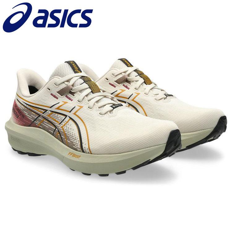 ASICS（アシックス） GT-1000 15 GTX 1011C233-250 STANDARD メンズ