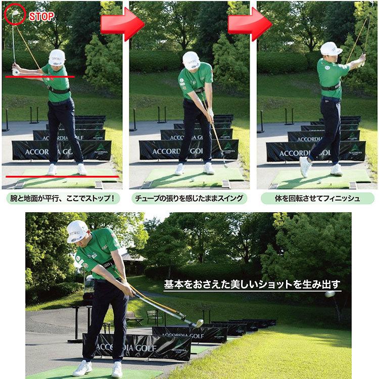 諸藤将次プロ監修 ショットメイク SHOT MAKE ゴルフスイング練習器
