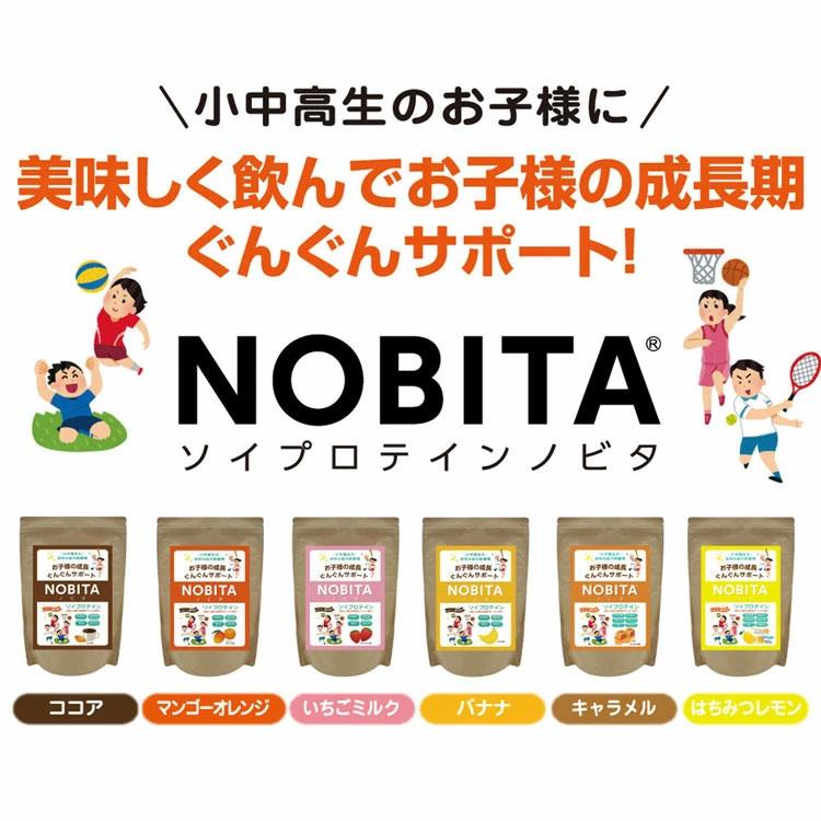 味が選べる2個セット ノビタ プロテイン NOBITA ソイプロテイン ジュニア 小中高生向け 600g×2の画像