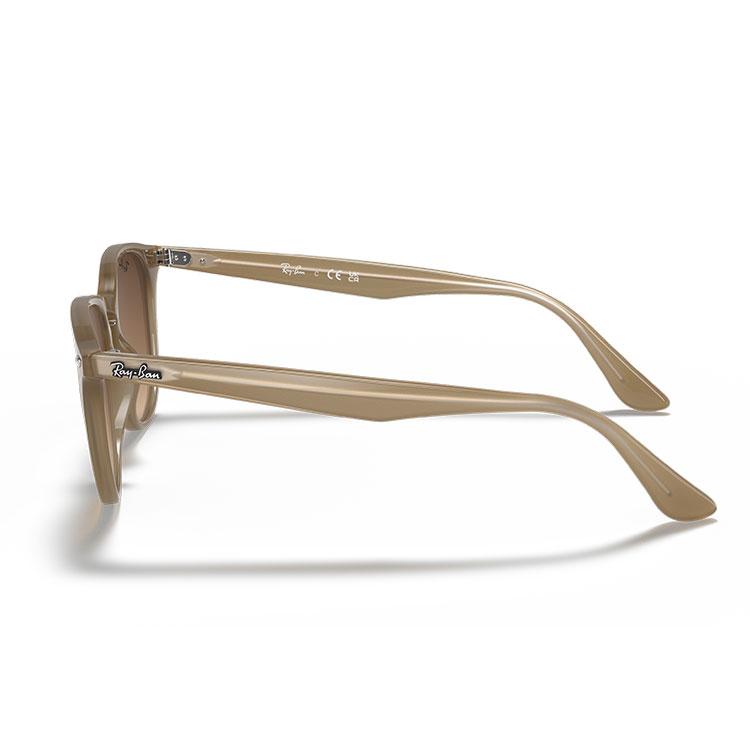 RayBan レイバン サングラス RB4259F 6166/13 53 20 Amazon | [レイバン] サングラス RB4259F 616613 53 ボストン メンズ