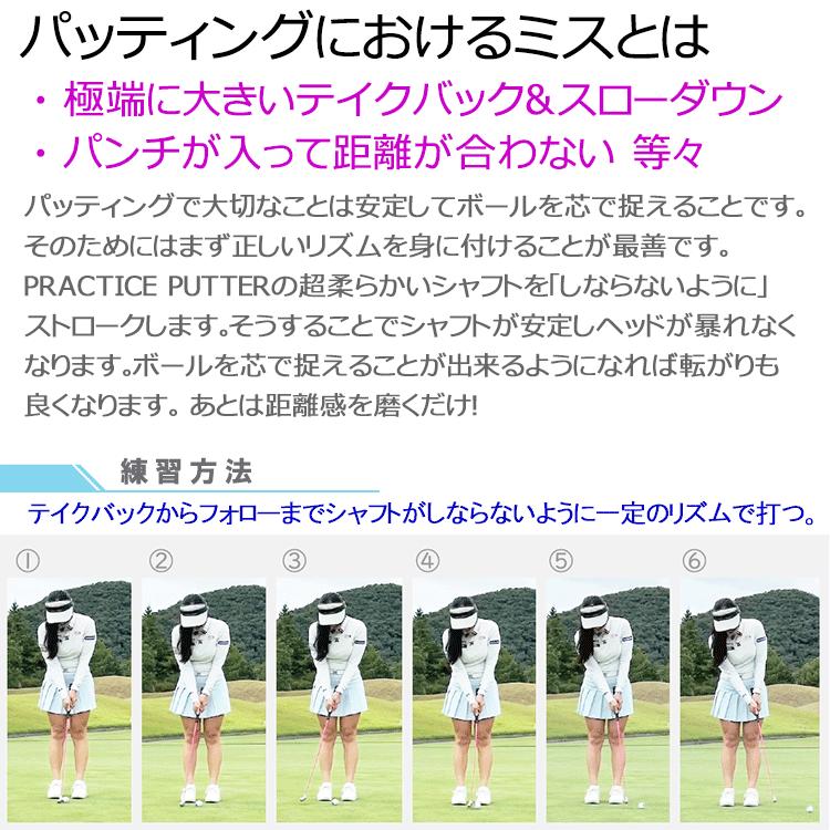 Lynx（リンクス） 実打可能パター練習器 プラクティス パターLynx Golf