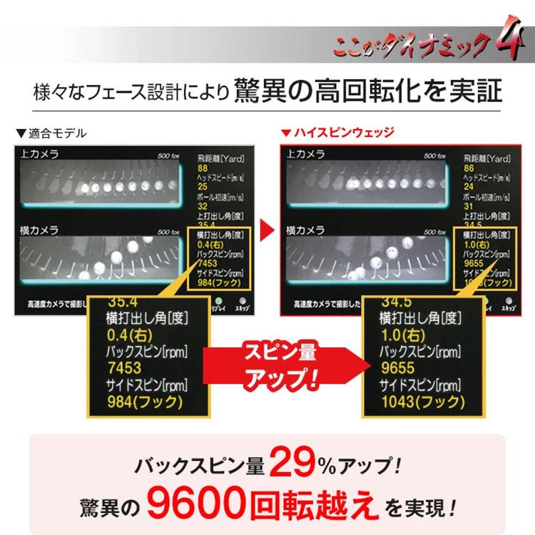 ワークスゴルフ 【番手が選べる2本組セット】ダイナゴルフ