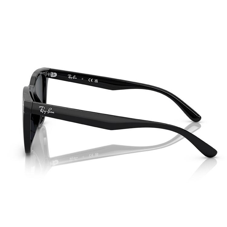 Ray-Ban（レイバン） サングラス RB4391D Ray-Ban RB4391D 601/87 65