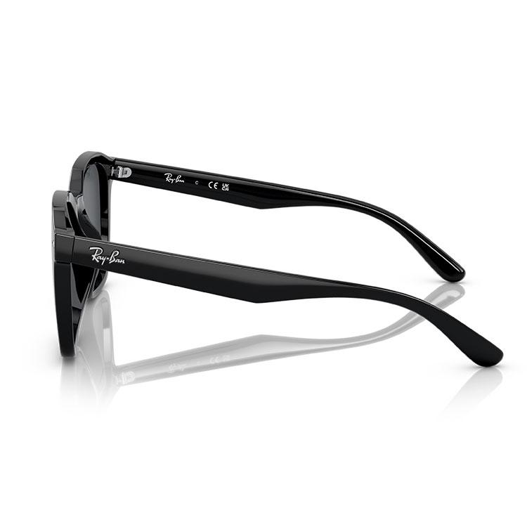 Ray-Ban（レイバン） サングラス RB4392D Ray-Ban RB4392D 601/87 66