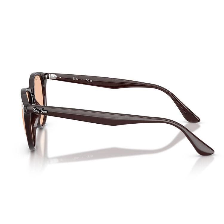 Ray-Ban（レイバン） サングラス RB4259 Ray-Ban RB4259F 623193 53 20