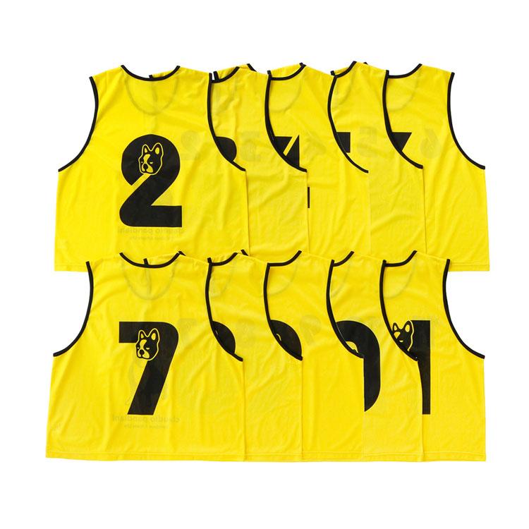 ジャンキー クラウディオ パンディアーニ ビブス10枚セット