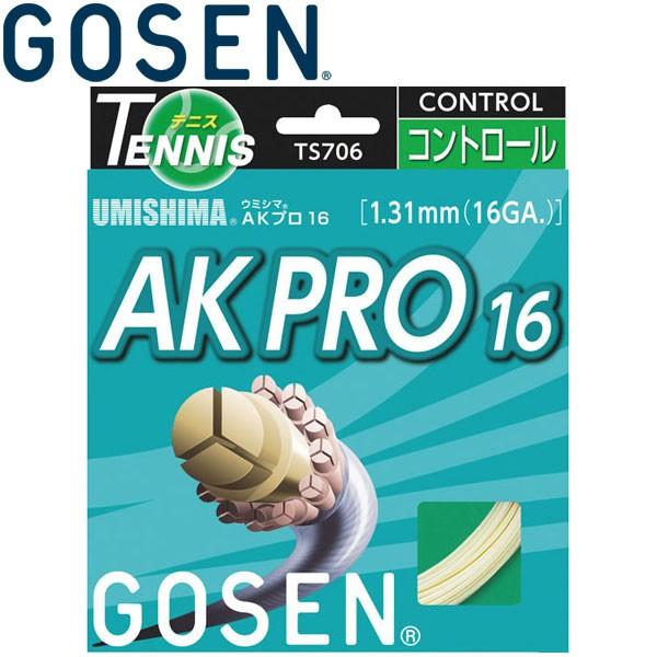 ゴーセン UMISHIMA AKプロ16 硬式テニスストリングス TS7062-15｜ezone