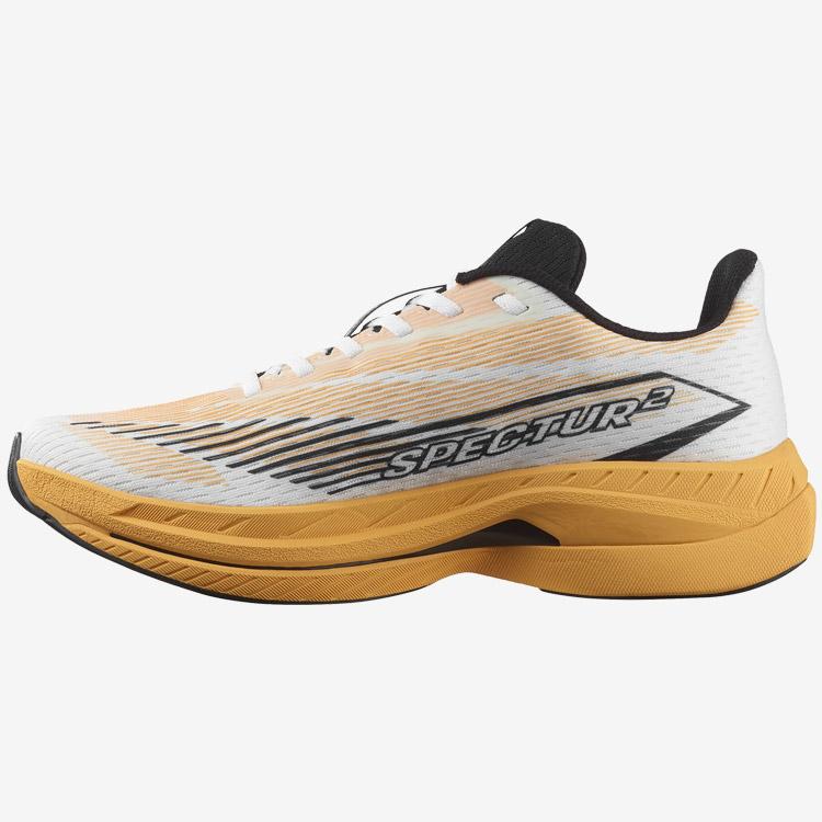 SALOMON（サロモン） SPECTUR 2 L47861200 メンズ シューズ 返品不可