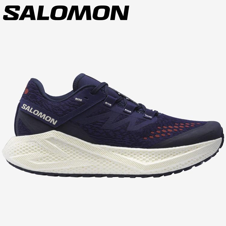 SALOMON（サロモン） AERO GLIDE 3 GRVL L47869800 メンズ シューズ