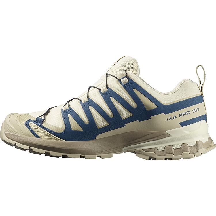 SALOMON（サロモン） XA PRO 3D V9 GTX L47987500 メンズシューズ 返品