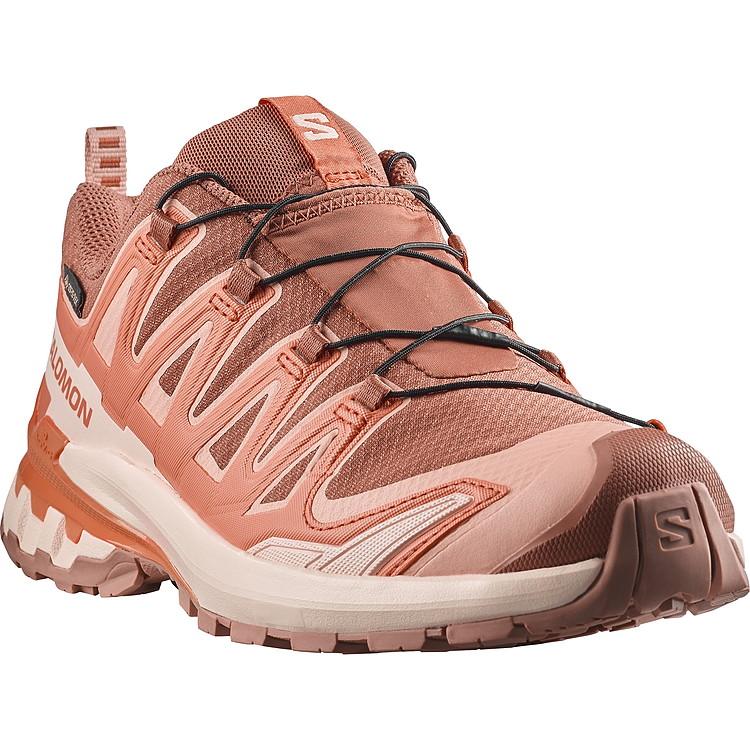 SALOMON（サロモン） XA PRO 3D V9 GTX W L47987800 レディース