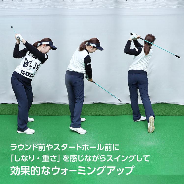 DAIYA GOLF ダイヤ ゴルフ スイングプロツアーTB スイング練習機 TR