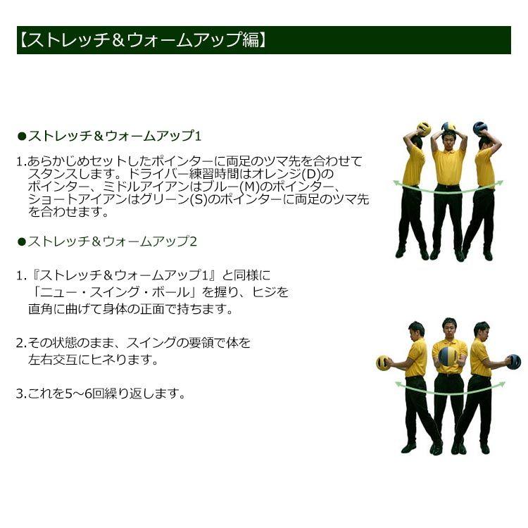 ヤマニゴルフ ニュー スイング ボール TRMGNT30 YAMANI GOLF ヤマニゴルフ ニュー スイング ボール TRMGNT30 YAMANI GOLF