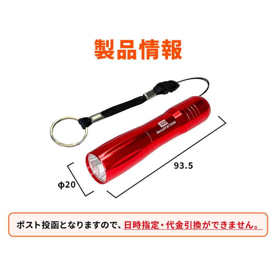 LEDライト 懐中電灯 小型 キーホルダー 電池式 : 防犯カメラ EZVIZ正規