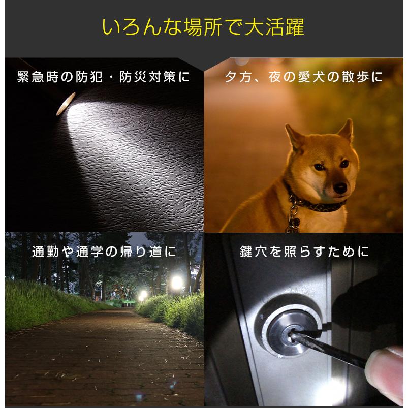 LEDライト 懐中電灯 小型 キーホルダー 電池式 : 防犯カメラ EZVIZ正規