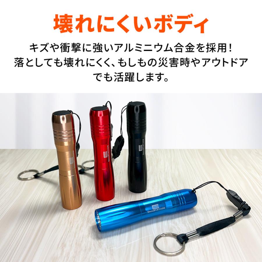LEDライト 懐中電灯 小型 キーホルダー 電池式 : 防犯カメラ EZVIZ正規