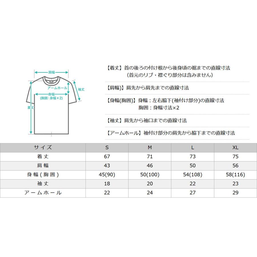 プロクラブ Tシャツ 半袖 Vネック コンフォート 無地 メンズ 106 USAモデル PRO CLUB 半袖Tシャツ【メール便可】｜f-box｜08