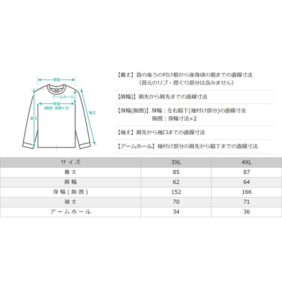 Carhartt（カーハート） Tシャツ メンズ 大きいサイズ ロンT 長袖