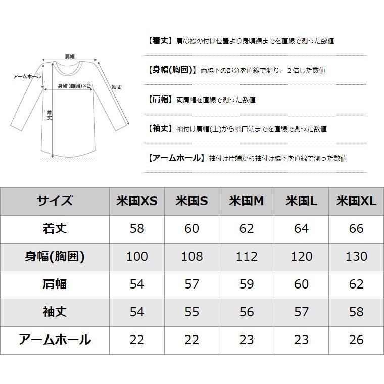Champion チャンピオン レディース トレーナー 大きいサイズ USA Champion チャンピオン レディース トレーナー 大きいサイズ USA