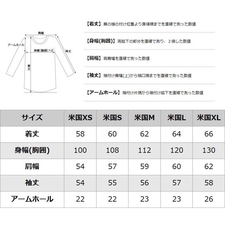 【送料無料】 チャンピオン レディース トレーナー 大きいサイズ USAモデル リバースウィーブ スウェット ロゴ アメカジ 裏起毛 Champion｜f-box｜08