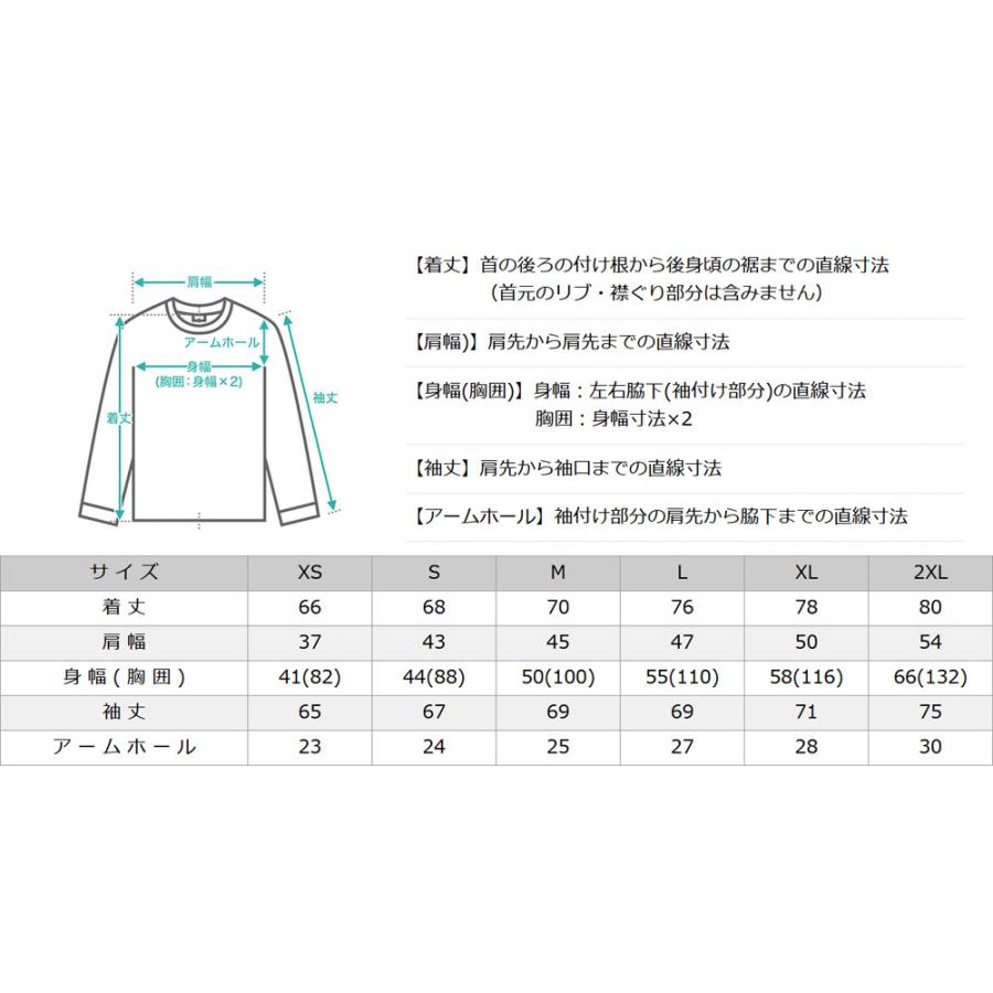 Champion チャンピオン ロンT メンズ 長袖Tシャツ 厚手 プリント Champion チャンピオン ロンT メンズ 長袖Tシャツ 厚手 プリント