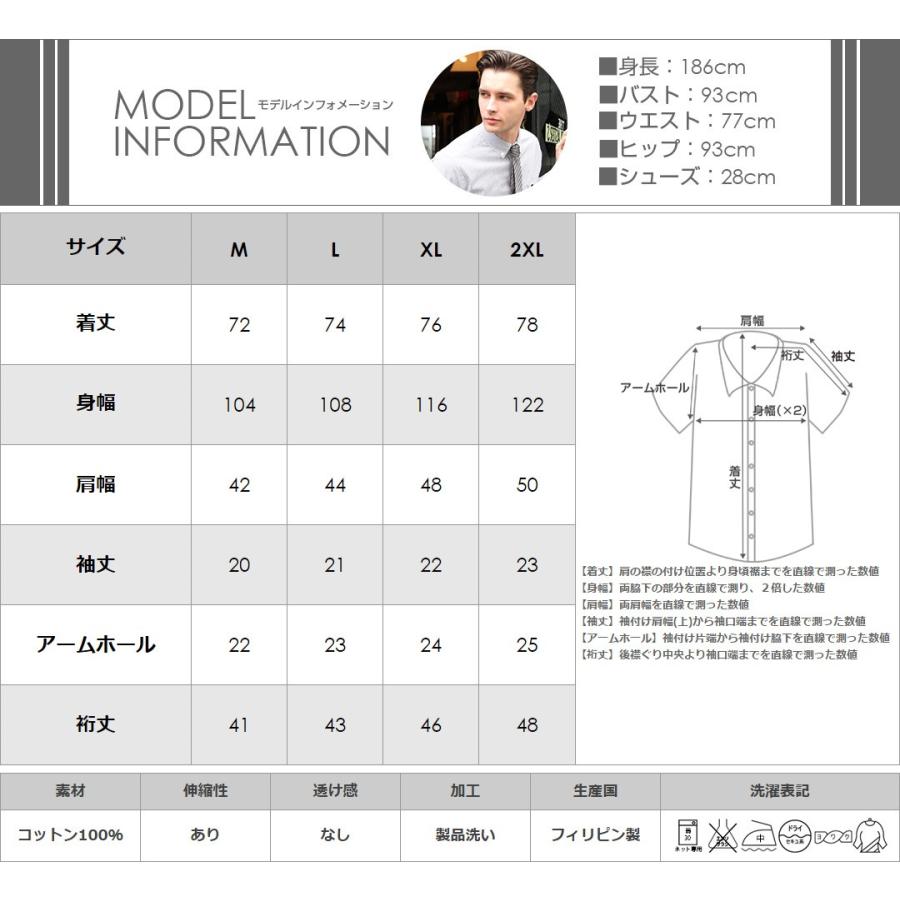 ëpa 半袖シャツ Fサイズ シャツ メンズ 半袖 ボタンダウン ストライプ 日本規格 EAGLE STANDARD