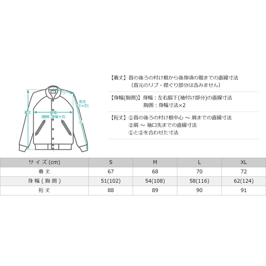 THE NORTH FACE ノースフェイス ジャケット フリース NF0A3LH9 THE NORTH FACE ノースフェイス ジャケット フリース NF0A3LH9