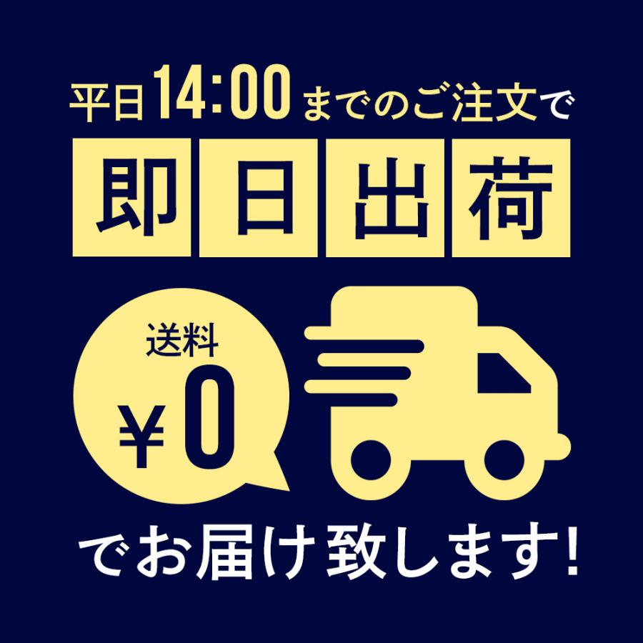 ROTHCO ロスコ カーゴパンツ メンズ 大きいサイズ BDUパンツ 迷彩 ゆったり 大きめ フレッドベア ジッパー ミリタリー 19020 USAモデル 【正規代理店】 | ROTHCO | 01