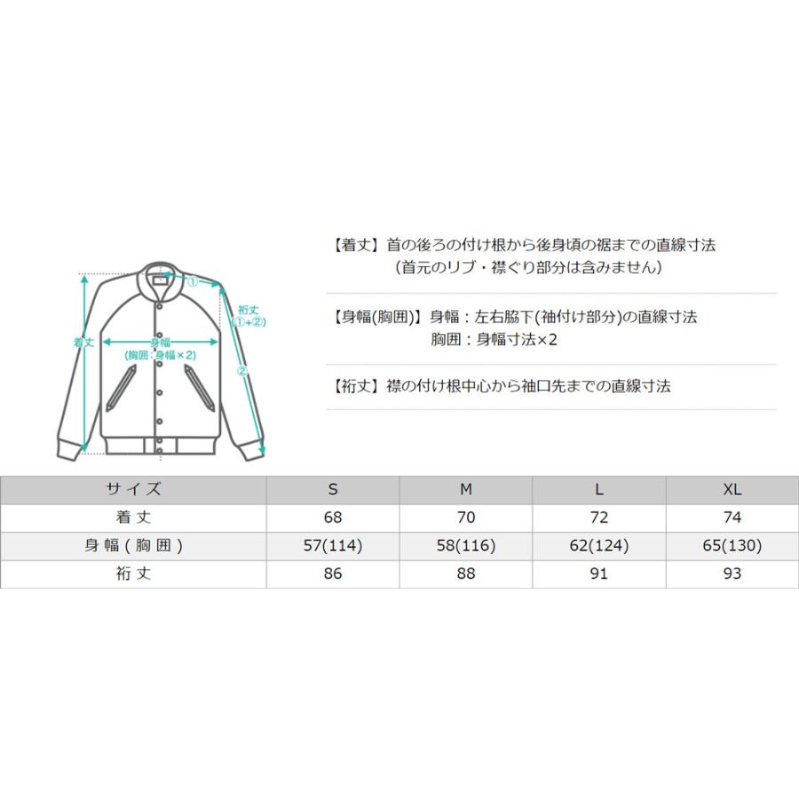 ROTHCO ロスコ ジャケット メンズ コーチジャケット バックプリント 