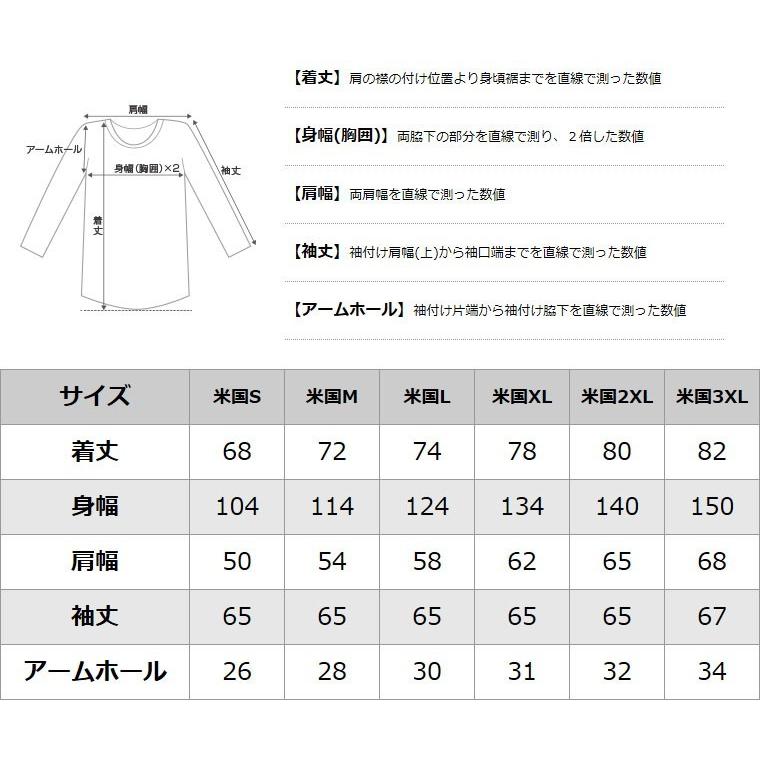 Champion チャンピオン ジップアップパーカー usa ジップ
