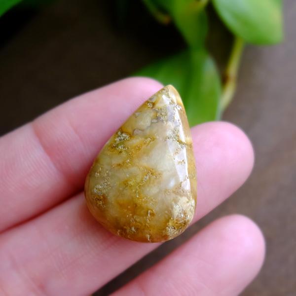 フォッシルコーラル（化石珊瑚）約26×18×6mm インドネシア産 天然石