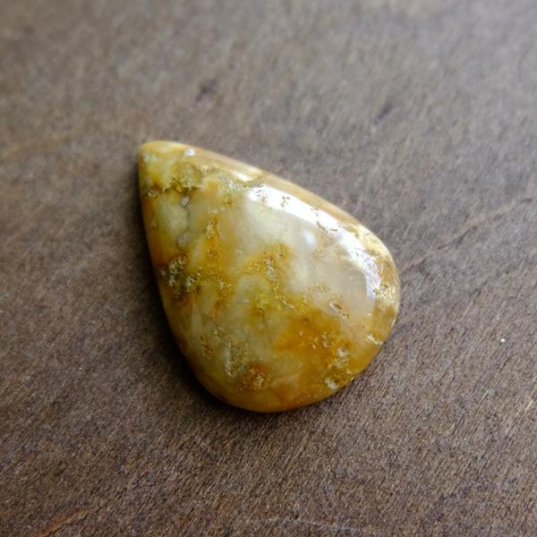 フォッシルコーラル（化石珊瑚）約26×18×6mm インドネシア産 天然石