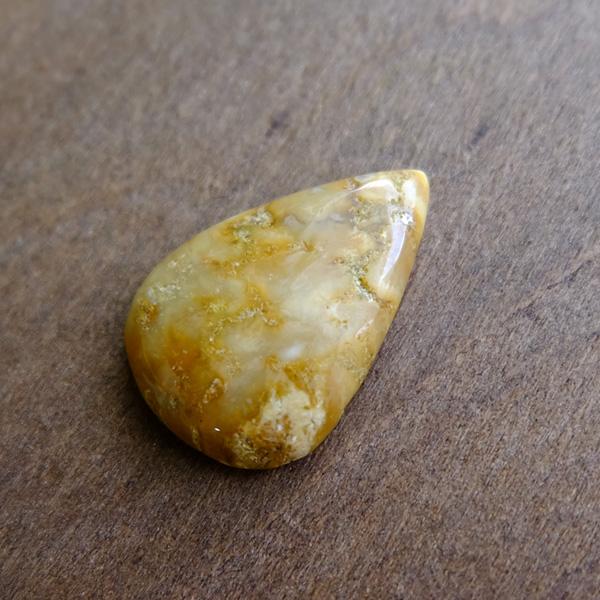 フォッシルコーラル（化石珊瑚）約26×18×6mm インドネシア産 天然石