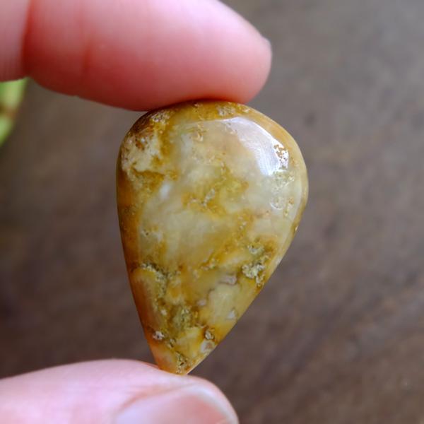 フォッシルコーラル（化石珊瑚）約26×18×6mm インドネシア産 天然石