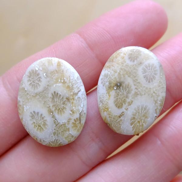 フォッシルコーラル（化石珊瑚）2個セット 約22×16×4mm オーバル型