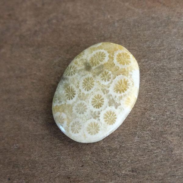 フォッシルコーラル（化石珊瑚） 天然石 カボション オーバル型 約24